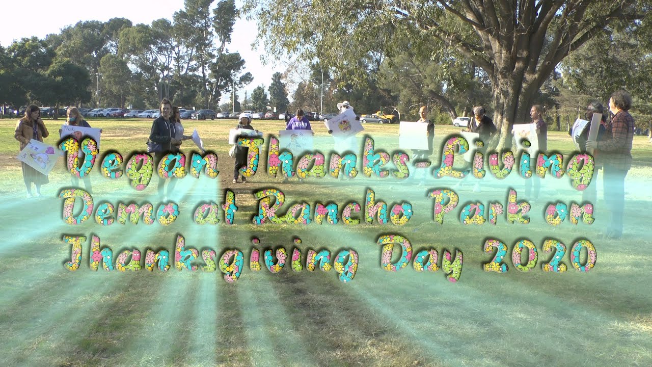 Image for video of event.